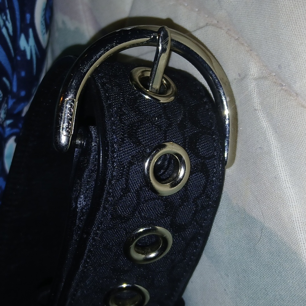 Coach Belt - Picture 3 of 3